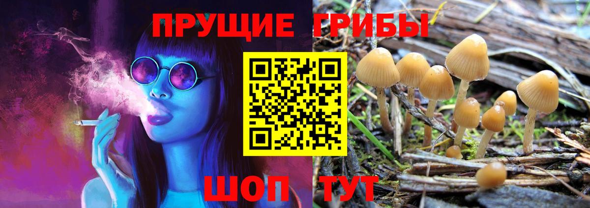 Псилоцибиновые грибы Psilocybe  Вход с VPN  Щёкино 